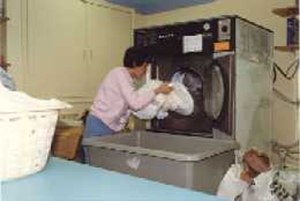 Daisy Fresh laundry room