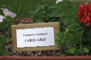 Carol Gray plaque